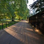 Urban greenery means more walking, reveals study
