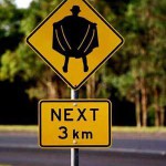 Strangely Bizarre Driving Laws!