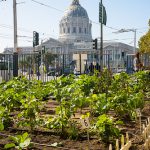 Is urban agriculture worth the space?